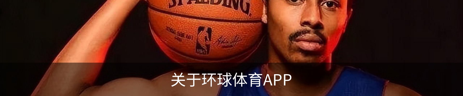 关于环球体育APP